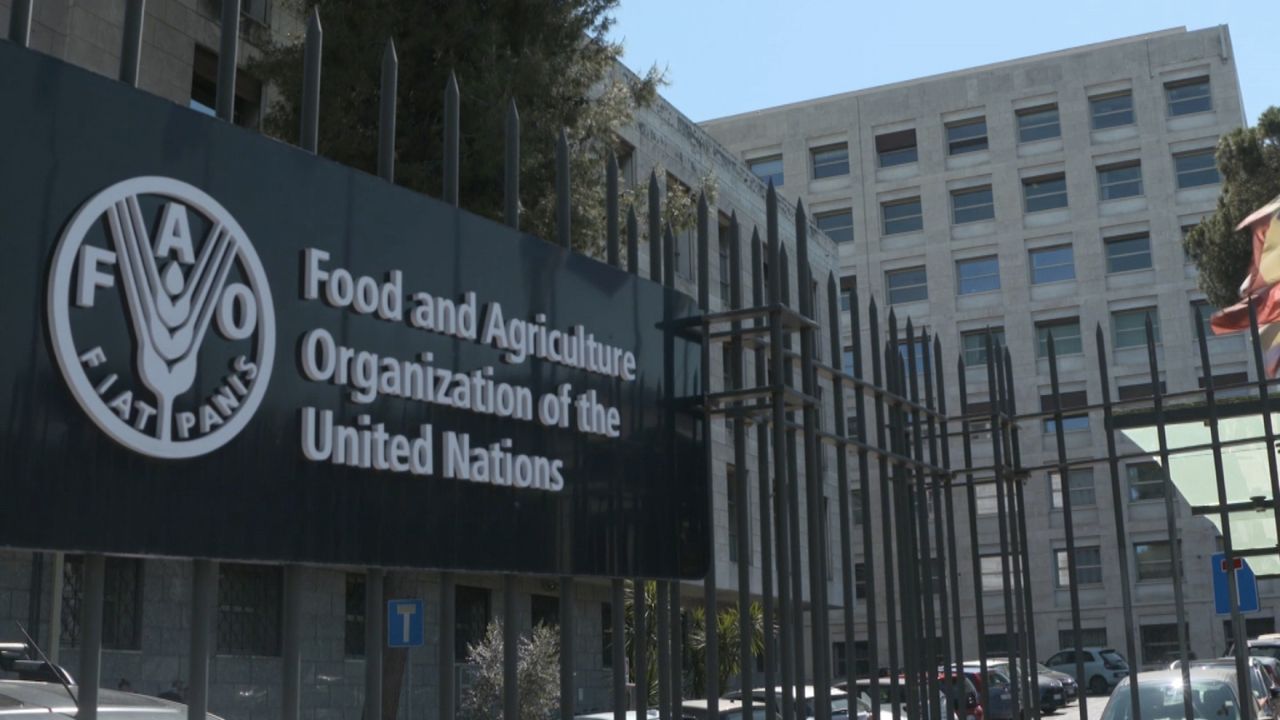 UN Agencies List Nigeria Among Hunger Hotspots as Looming Global Famine Alarms