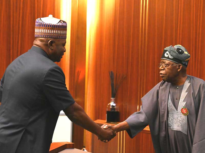 Nigeria Appoints New Defence Minister Amid Escalating Security Crisis
