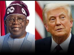 Trump’s Deportation Plan: 79 Nigerians on US “Worst-of-the-Worst” Criminal List