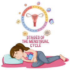 Feminine Health Guide: What Menstrual Blood Can Reveal About Your Health
