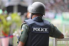 Citizens celebrate Warri Court's Landmark Ruling that Nigerians Can Record Police Officers on Duty