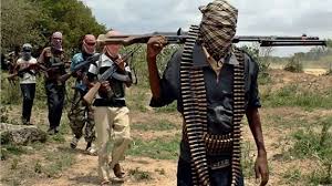 Boko Haram Releases 416 Abducted Residents in Borno After Months in Captivity