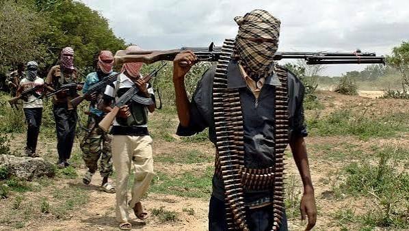 Police Launch Massive Forest Search After Terrorists Abduct NECO Candidates in Borno School Attack
