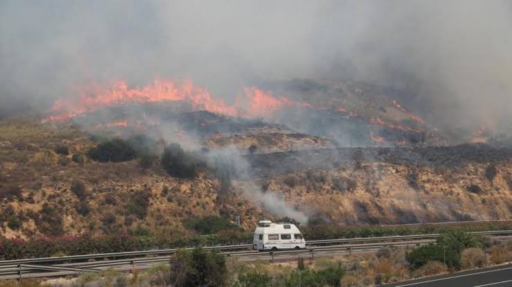 Spain Wildfires Leave 12 Dead and 23 Missing as Emergency Crews Battle to Contain Devastating Blazes
