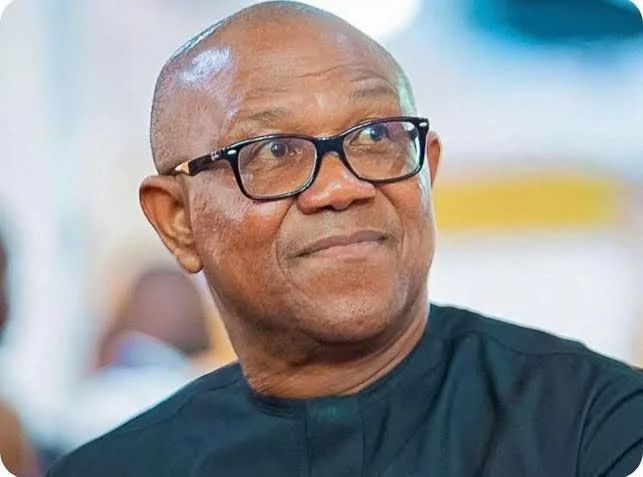 Peter Obi’s Transparency Stance Earned Him National Respect, Says Kano NDC Governorship Candidate