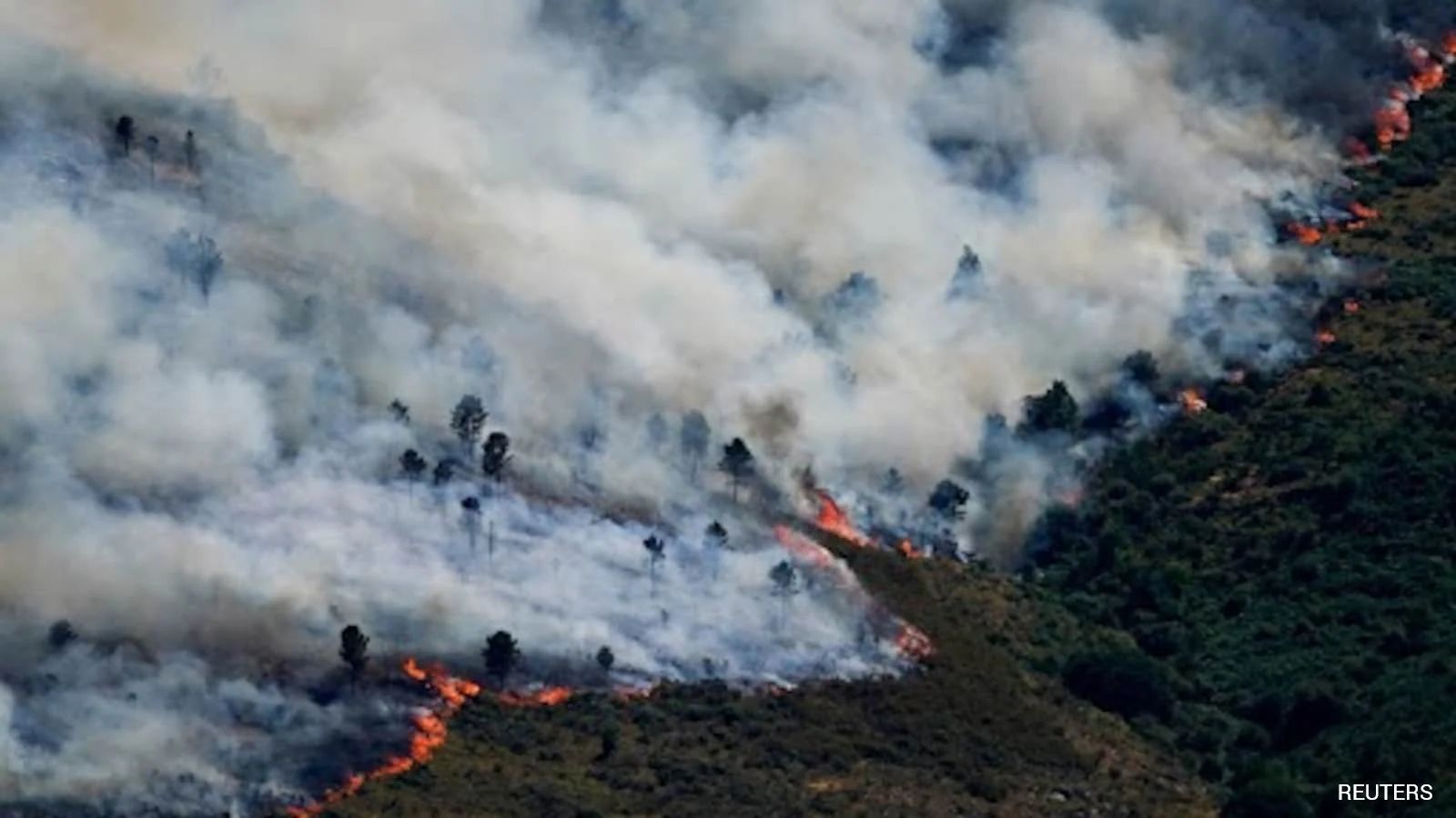 Wildfires Ravage France and Spain: Tens of Thousands Evacuated from French Tourist Hotspot and Areas Near Madrid