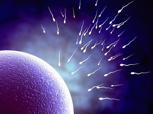 How to Improve Sperm Health and Male Fertility: Evidence-Based Lifestyle Tips for Better Reproductive Health