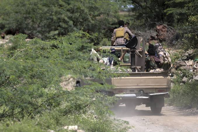 Yemeni Forces Claim Red Sea Victory as Military Says Bab al-Mandab Is Secured